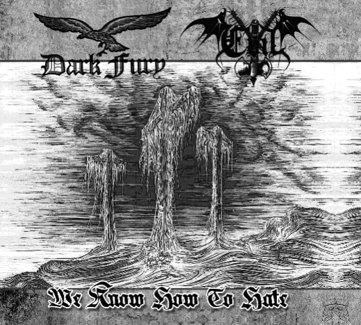 Dark Fury / Evil - We Know How to Hate Digi-CD