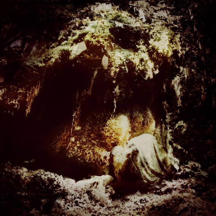 Wolves in the Throne Room (USA) - Celestial Lineage / Malevolent Grain CS